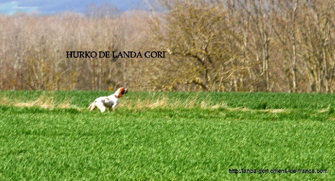 de landa gori - HURKO DE LANDA GORI...Training !!