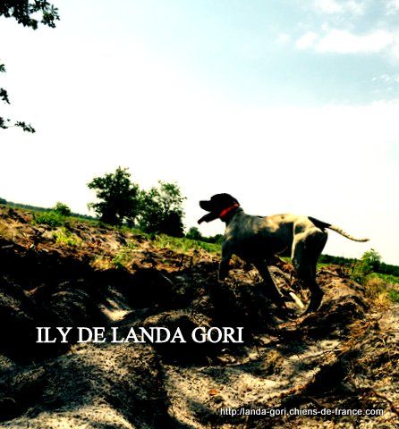 de landa gori - ILY DE LANDA GORI ..Training sur compagnies de 