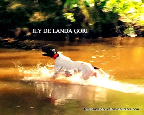 de landa gori - ILY DE LANDA GORI..Training sur 