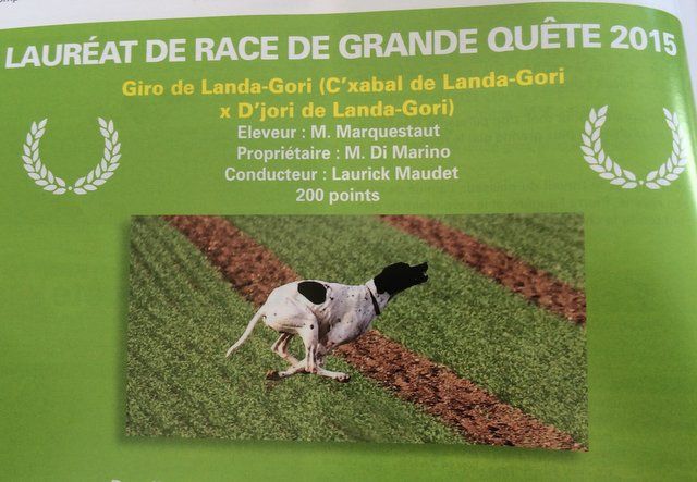 de landa gori - GIRO DE LANDA GORI CHAMPION DE RACE G Q 2015!!!