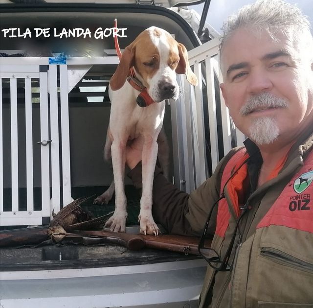 de landa gori - PILA DE LANDA GORI ;Chasse la bécasse ESPAGNE !