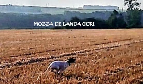 de landa gori - MOZZA DE LANDA GORI..Reprise entraînement ..!