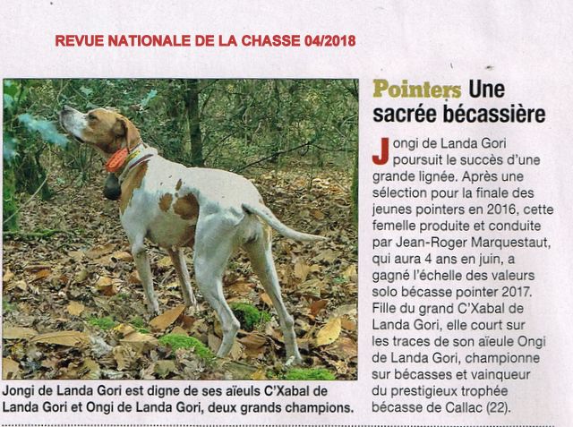 de landa gori - JONGI DE LANDA GORI : Revue Nationale de la Chasse 04/2018