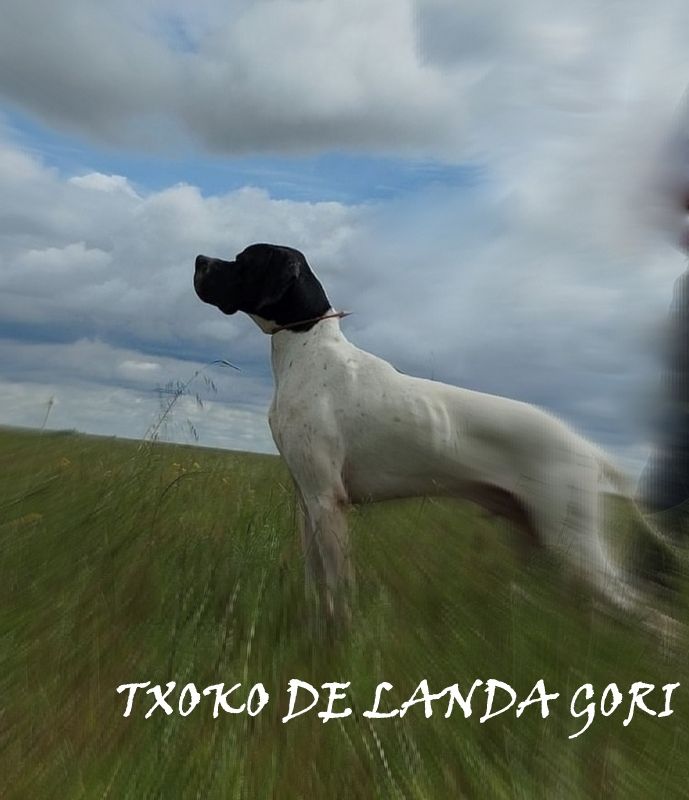 de landa gori - TXOKO DE LANDA GORI/Entraînement ESPAGNE !