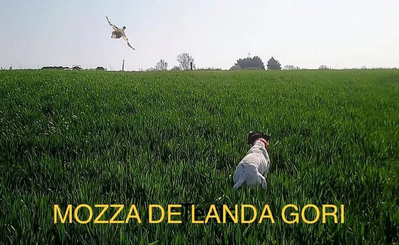 de landa gori - MOZZA DE LANDA GORI Entraînement printemps 2020 !
