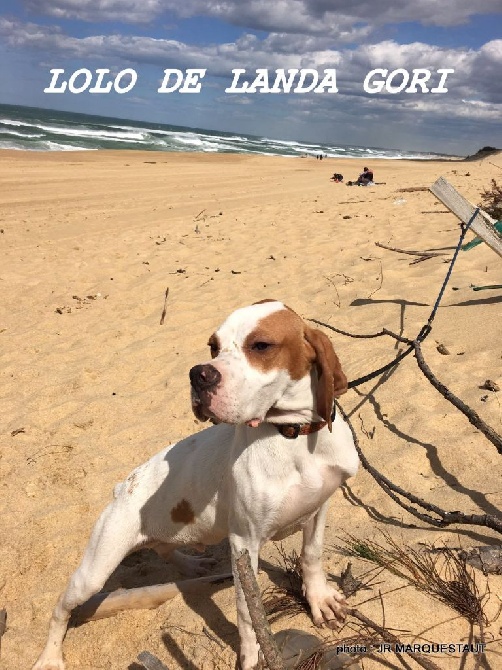 de landa gori - LOLO DE LANDA GORI...A la plage !!!