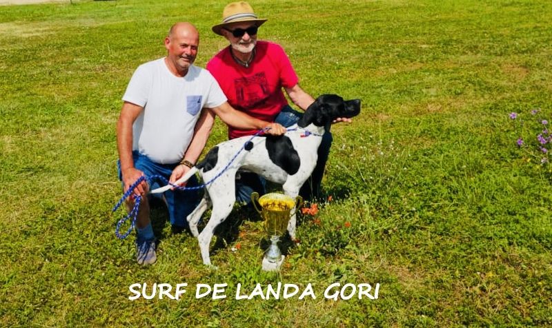 de landa gori - SURF DE LANDA GORI ;Aquitaine NORD :T A N et selection !