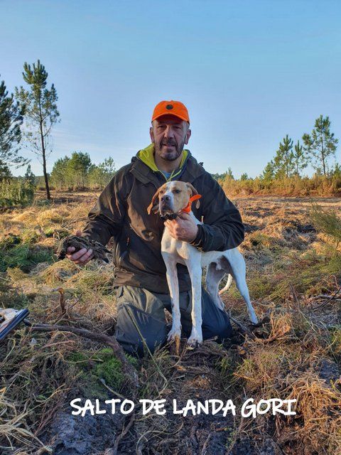 de landa gori - SALTO DE LANDA GORI 7 mois ;Chasse la bécasse LANDES !