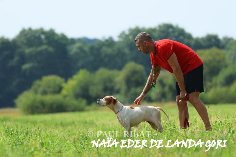 de landa gori - NAÏA EDER DE LANDA GORI/CC Amateur Téthieu LANDES 