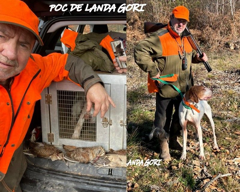 de landa gori - POC DE LANDA GORI ;Chasse la bécasse dans la NIEVRE !