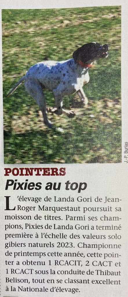 de landa gori - PIXIES DE LANDA GORI :L Dans la revue nationale de la chasse 10/23