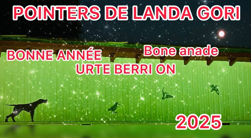 de landa gori - Bonne année 2025