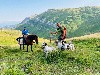  - MILESKER et NADAU DE LANDA GORI ;entraînement montagnes Cantabria !