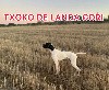  - TXOKO DE LANDA GORI/entraînement Andalousie