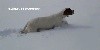  - MILESKER DE LANDA GORI entraînement dans la neige en SERBIE !