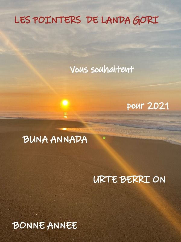 de landa gori - BONNE ANNEE 2021 !