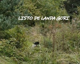 de landa gori - LISTO DE LANDA GORI :chasse en ARDECHE !