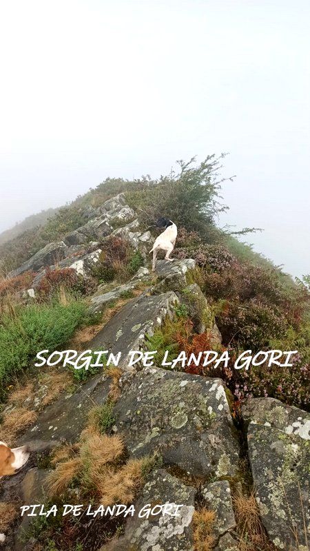 de landa gori - PILA et SORGIN DE LANDA GORI :Entraînement montagnes Basques !