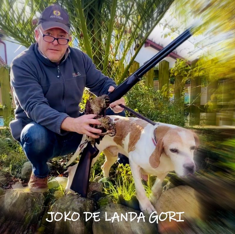 de landa gori - JOKO DE LANDA GORI ;Chasse la bécasse LANDES !