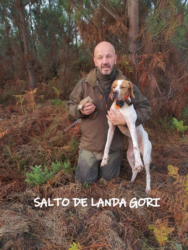 de landa gori - SALTO DE LANDA GORI :Chasse la bécasse LANDES !..