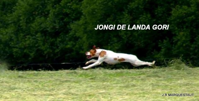 de landa gori - JONGI DE LANDA GORI.....Training !!!