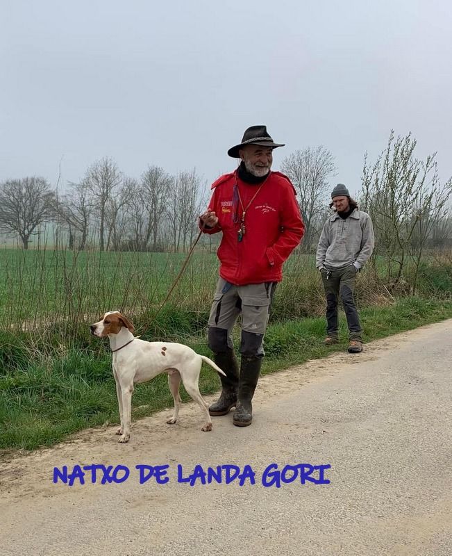 de landa gori - NATXO DE LANDA GORI Gagne en Belgique !