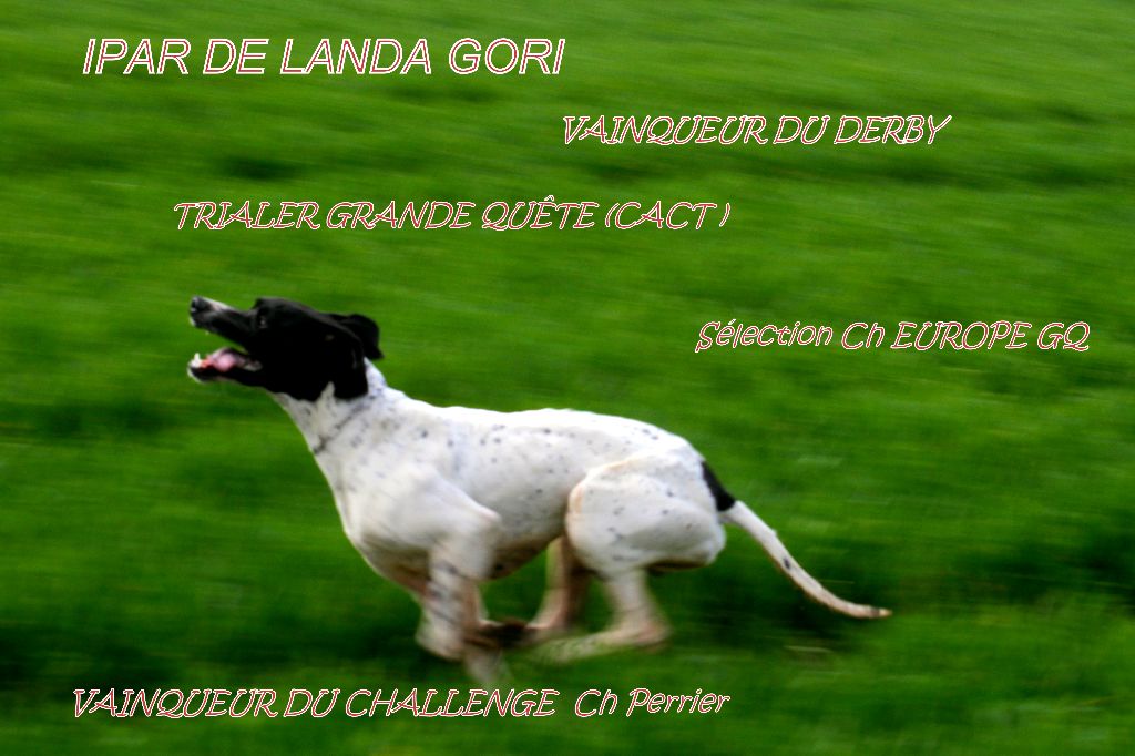 de landa gori - ADISHATZ IPAR DE LANDA GORI