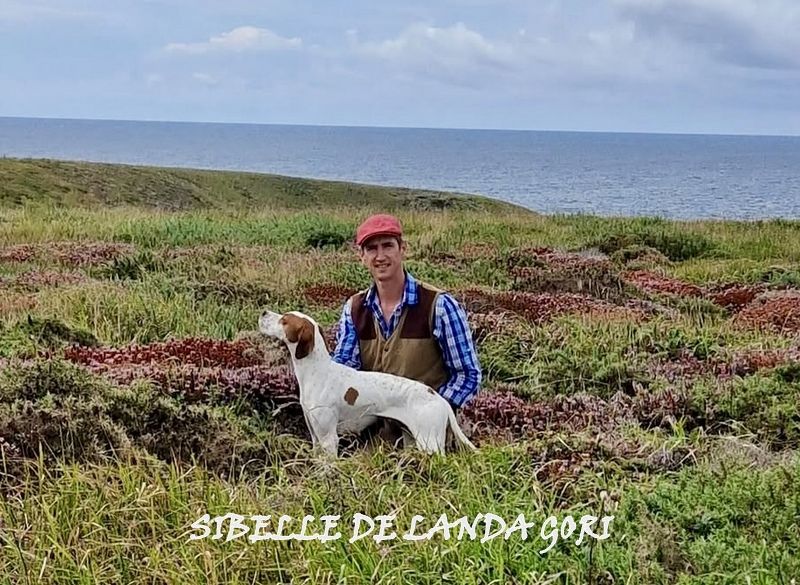 de landa gori - SIBELLE DE LANDA GORI/1er Excellent CACT/Gn/Belle île en mer