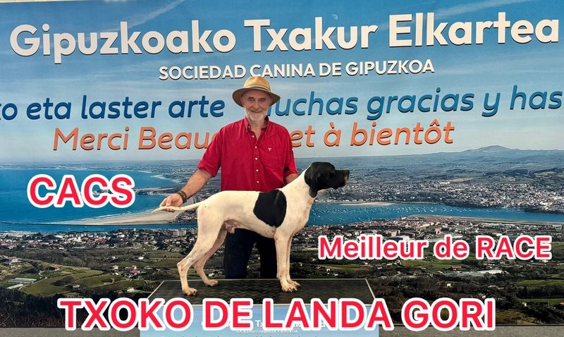 de landa gori - TXOKO DE LANDA GORI/CACS/Meilleur de RACE /IRUN 