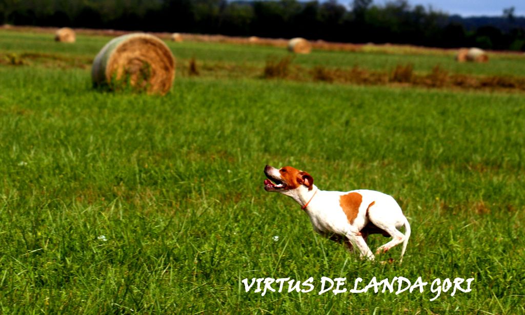 de landa gori - VIRTUS DE LANDA GORI/Entraînement