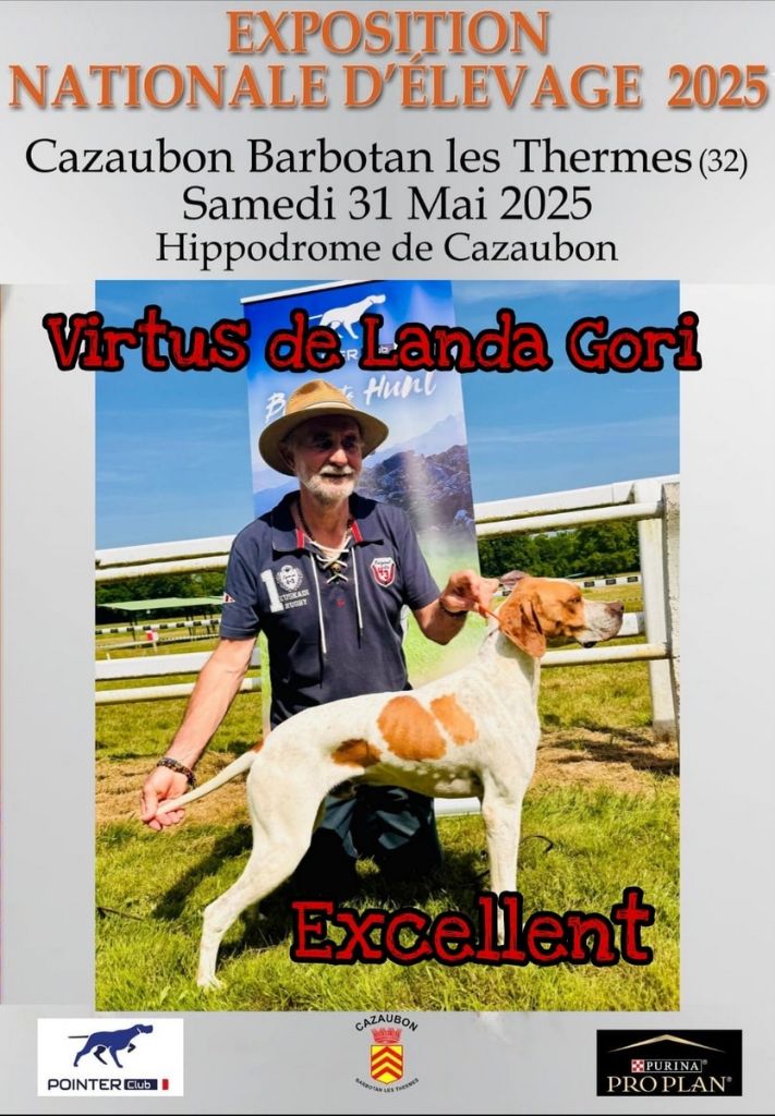 VIRTUS DE LANDA GORI /EXCELLENT/NATIONALE ELEVAGE 2025