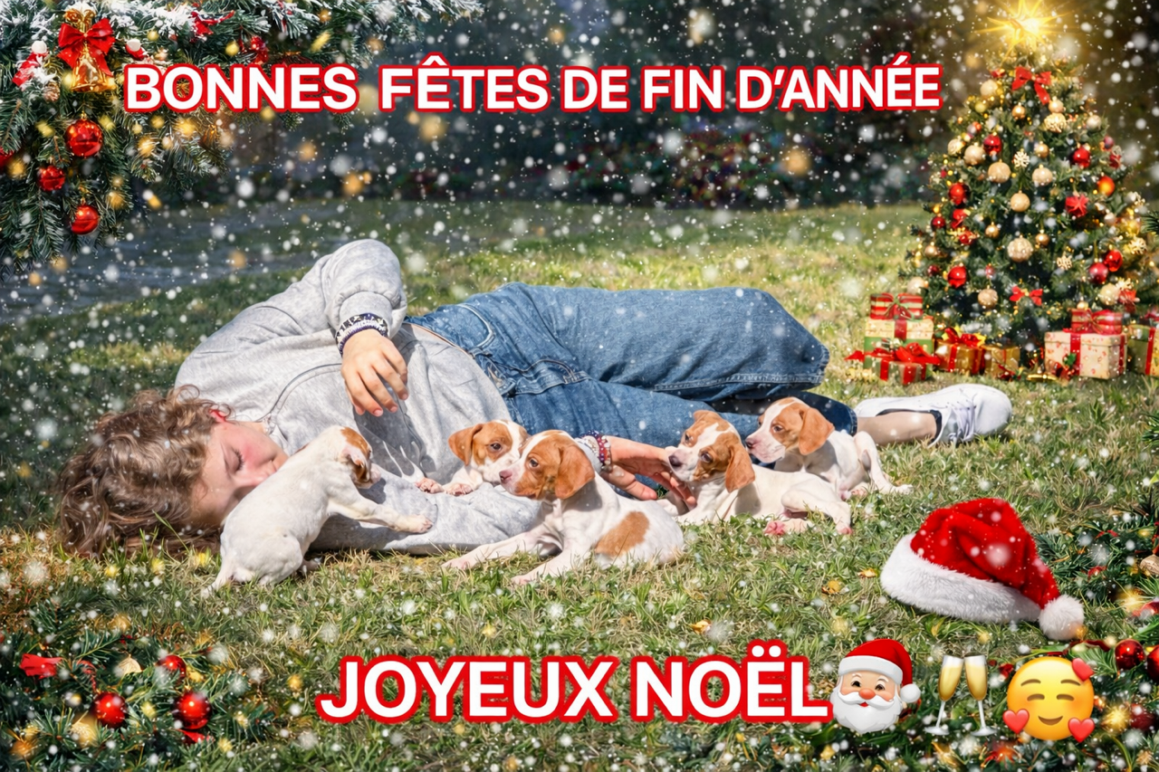 JOYEUX NOEL