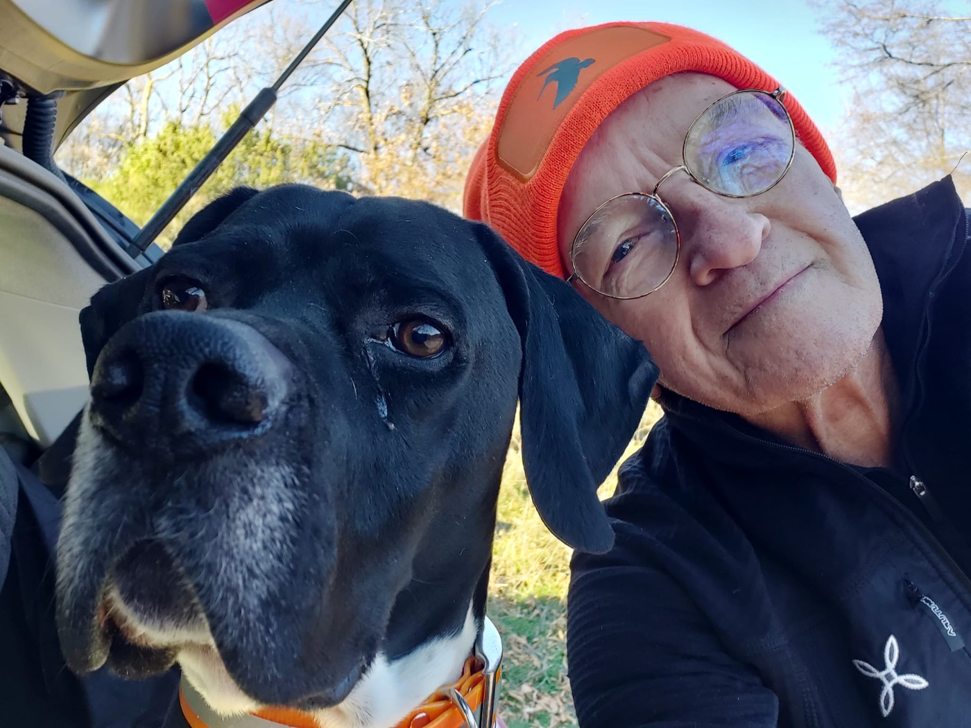 de landa gori - ROCKY LE BASQUE DE LANDA GORI/Chasse la bécasse/ALPES MARITIMES