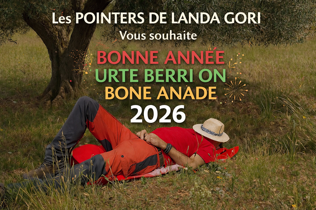 de landa gori - BONNE ANNEE 2026