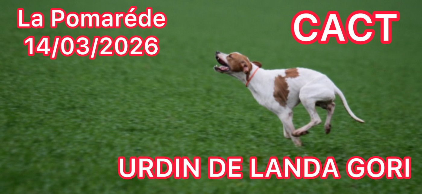URDIN DE LANDA GORI/CACT LA POMAREDE /TRIALER DE PRINTEMPS