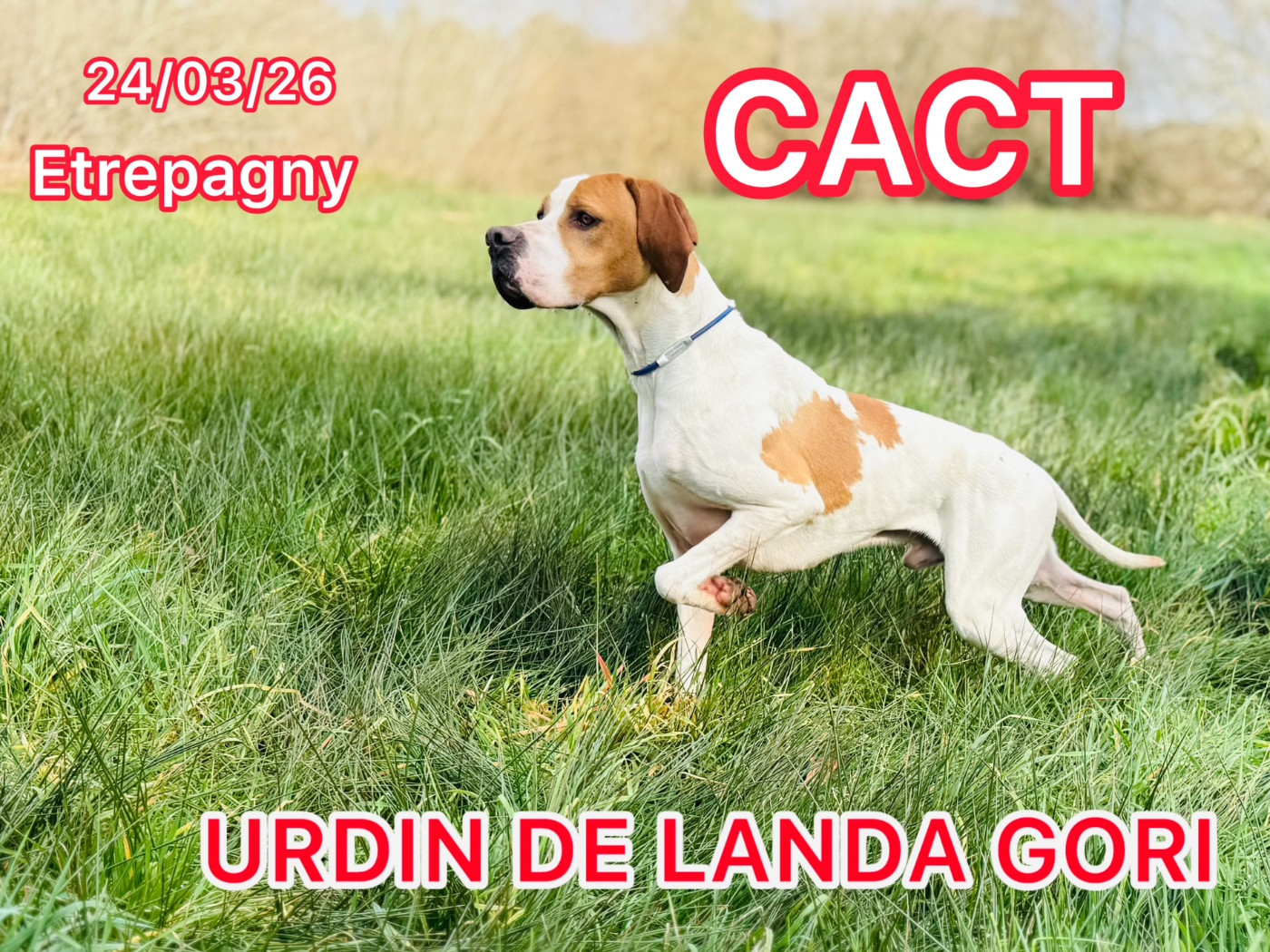 URDIN DE LANDA GORI/CACT ETREPAGNY24/03/2026
