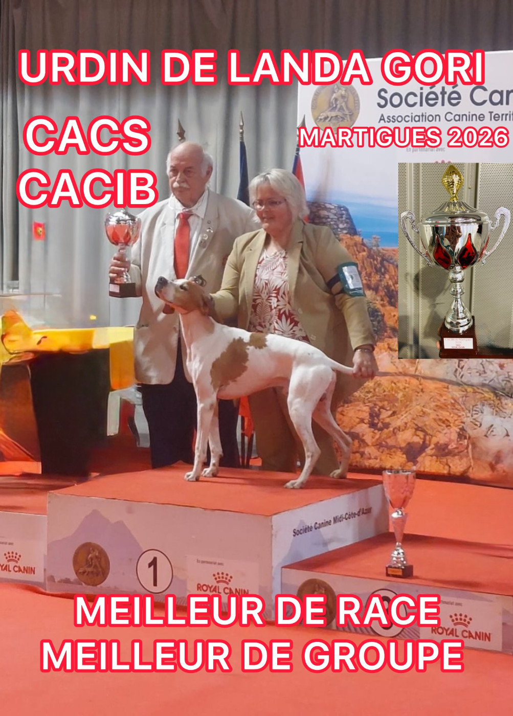 URDIN DE LANDA GORI/CACS/CACIB/MR/MG /MARTIGUES /09/2026 /CHAMPION International