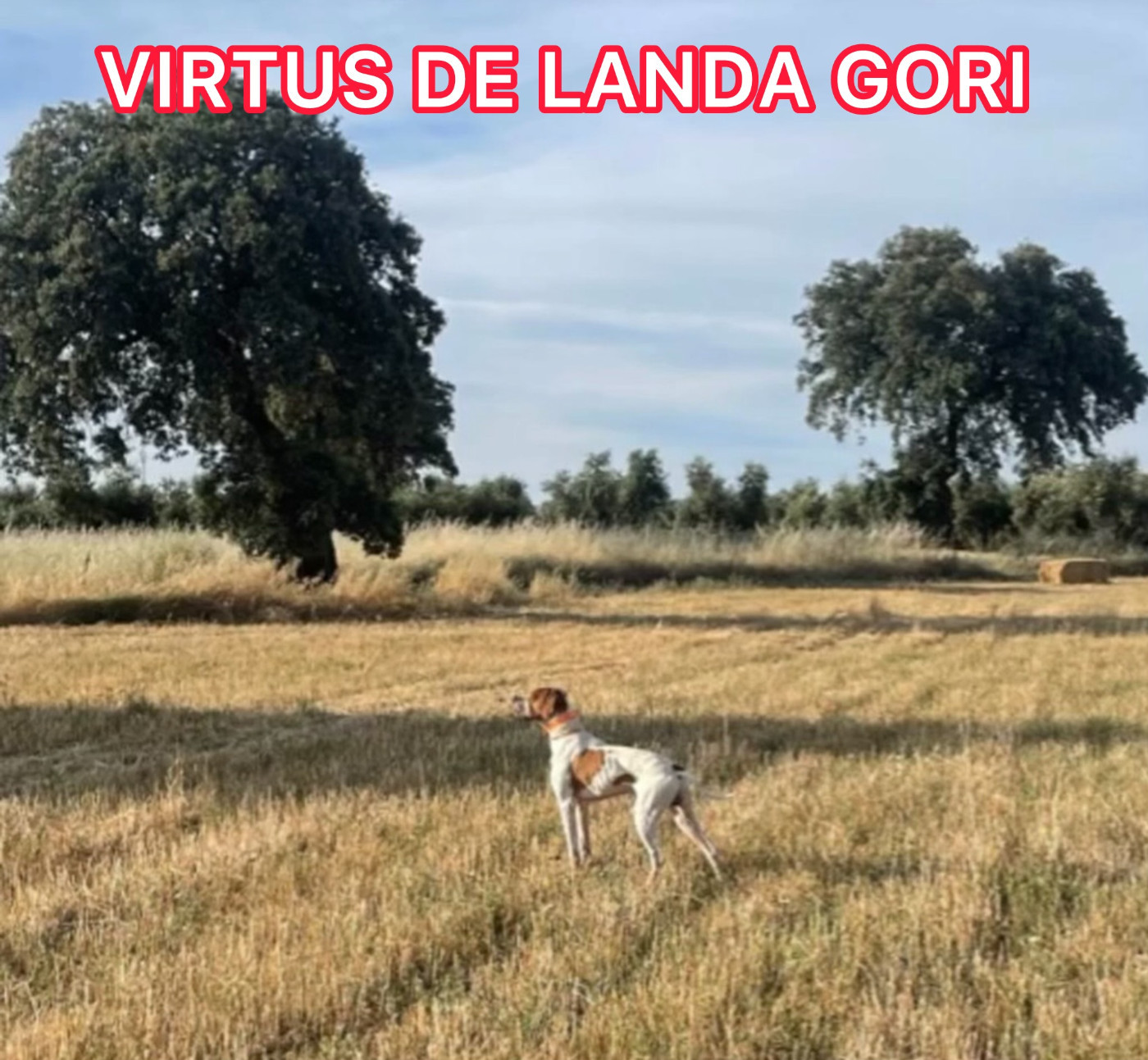 VIRTUS DE LANDA GORI/Entraînement Espagne