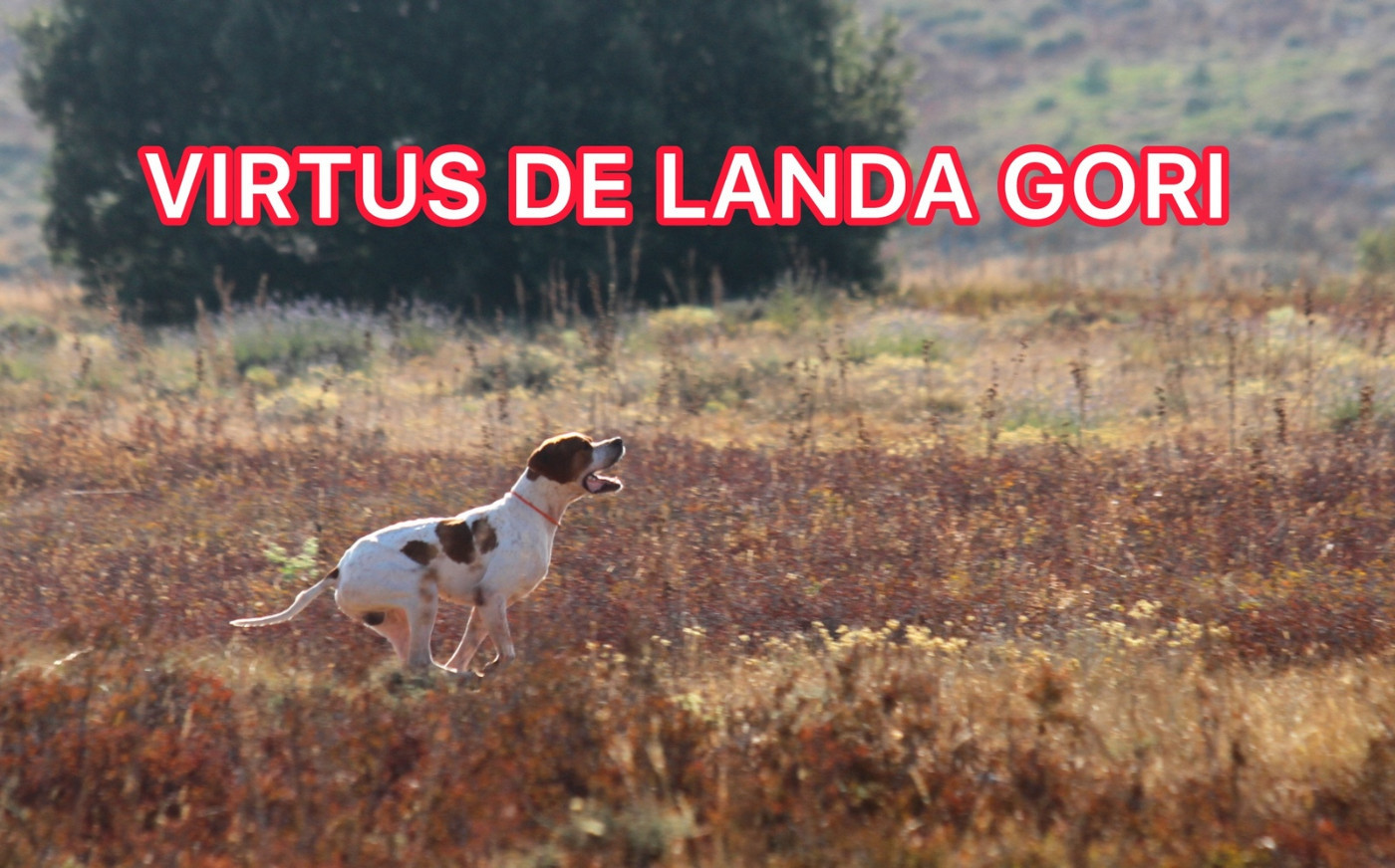 de landa gori - VIRTUS DE LANDA GORI/entraînement/Burgos