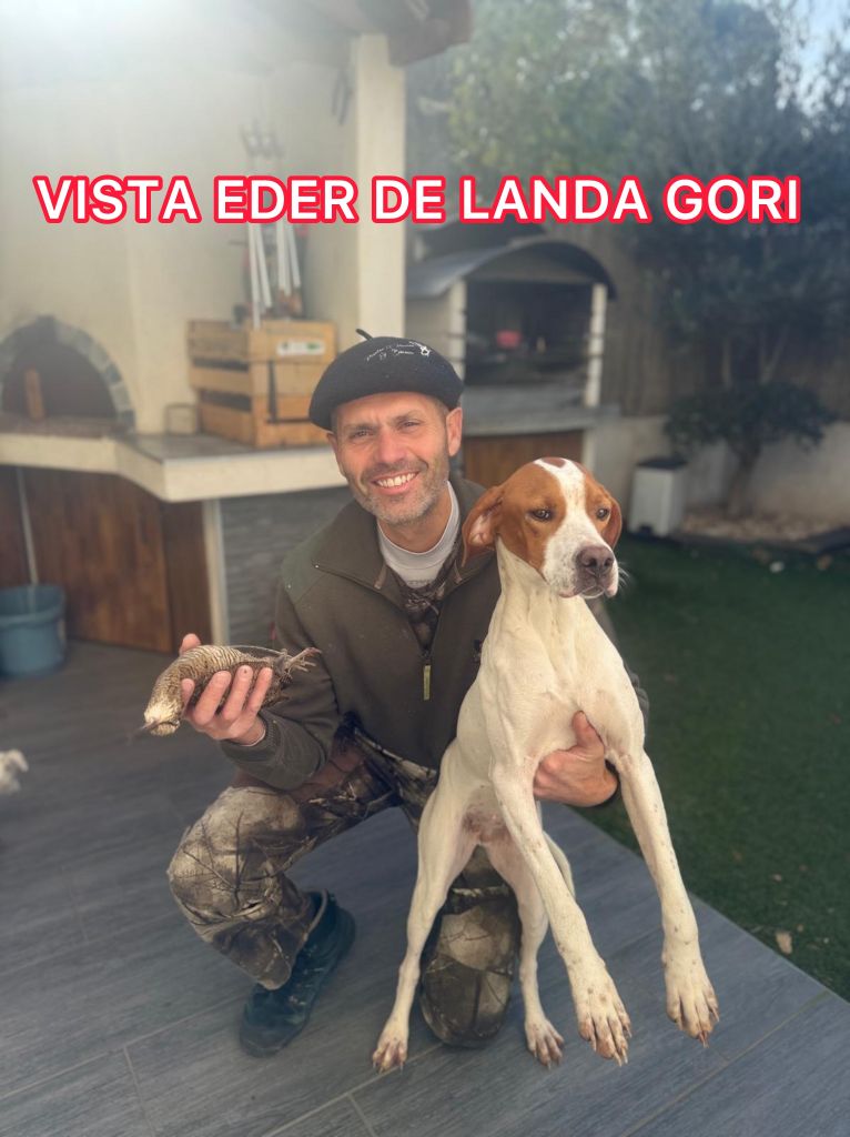 de landa gori - VISTA EDER DE LANDA GORI/Chasse bécasses/SUD EST