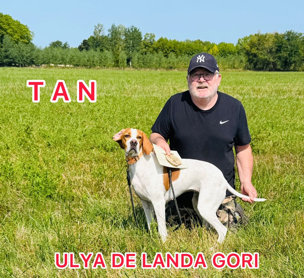 ULYA DE LANDA GORI/ T A N