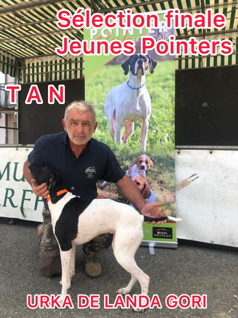 URKA DE LANDA GORI/T AN/Sélection finale jeunes POINTERS