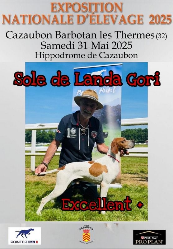 SOLE DE LANDA GORI/NATIONALE ELEVAGE /EXCELLENT plus
