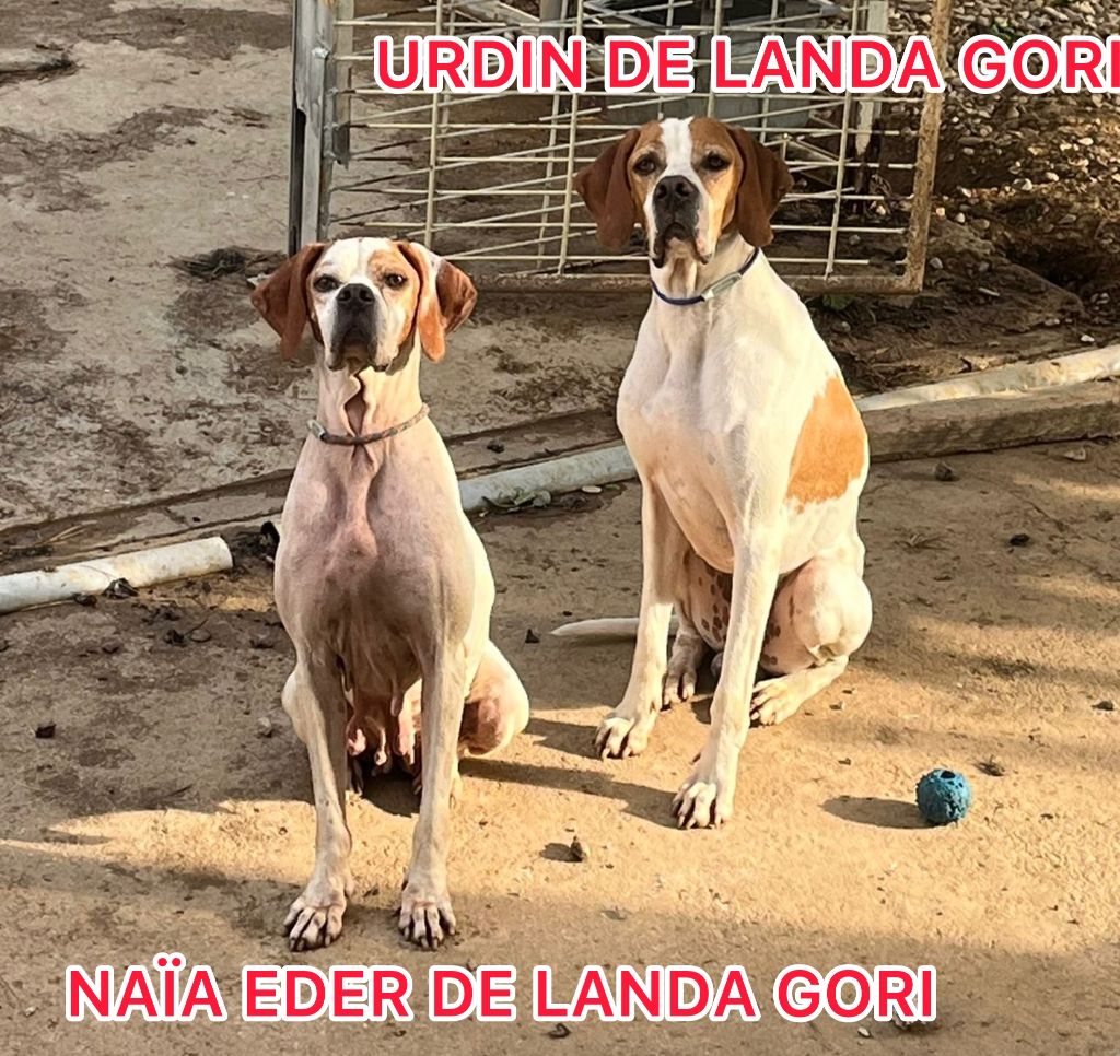 de landa gori - NAÏA EDER et URDIN DE LANDA GORI/Repos estival...