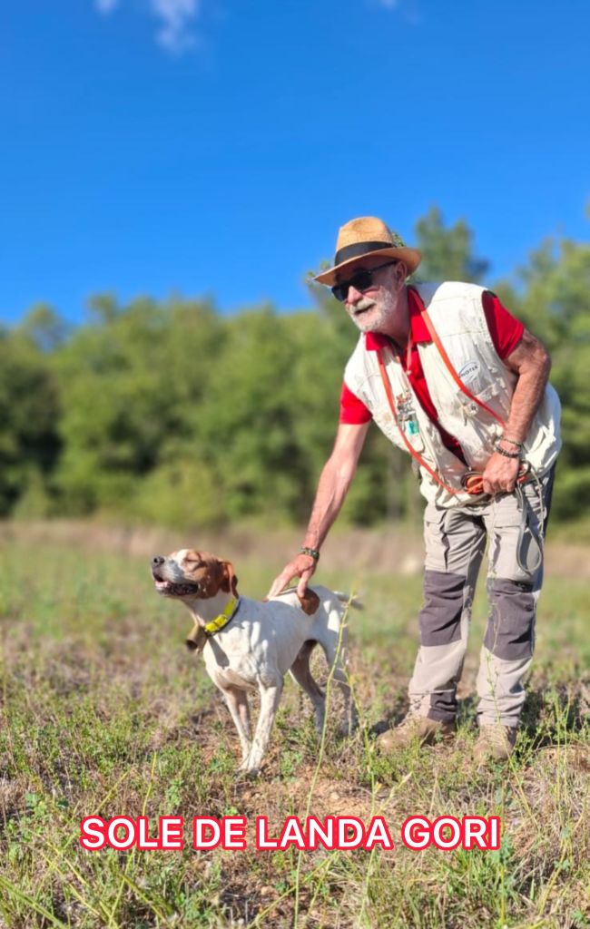 SOLE DE LANDA GORI/Entraînement/Chasse pratique