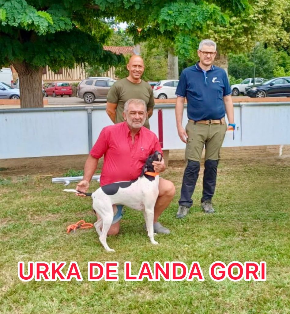 URKA DE LANDA GORI/Vainqueur au trophée cailles des blé