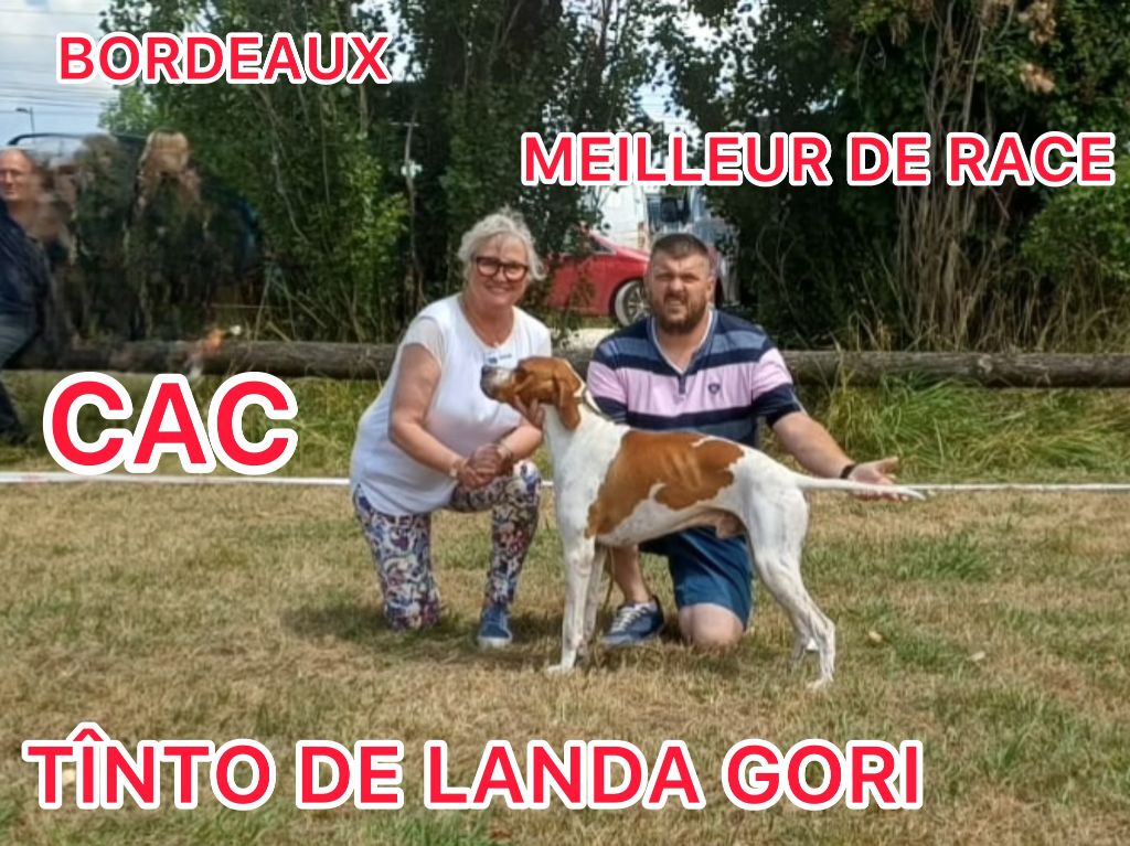 TÎNTO DE LANDA GORI/Bordeaux/CAC/Meilleur de RACE