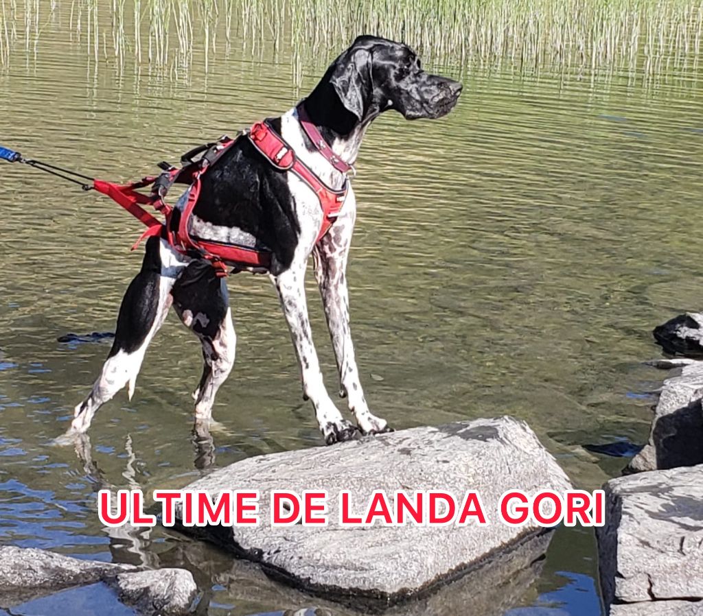 ULTIME DE LANDA GORI/Vacances PYRENEES 
