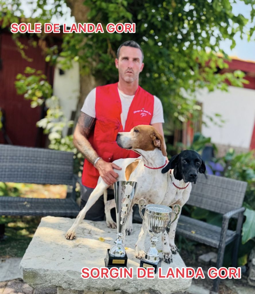 SOLE SORGIN PANTXIKA VIRTUS /CC THETIEU 