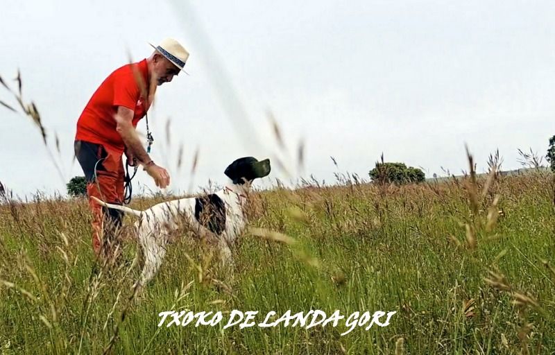 de landa gori - TXOKO DE LANDA GORI/Entraînement/Espagne